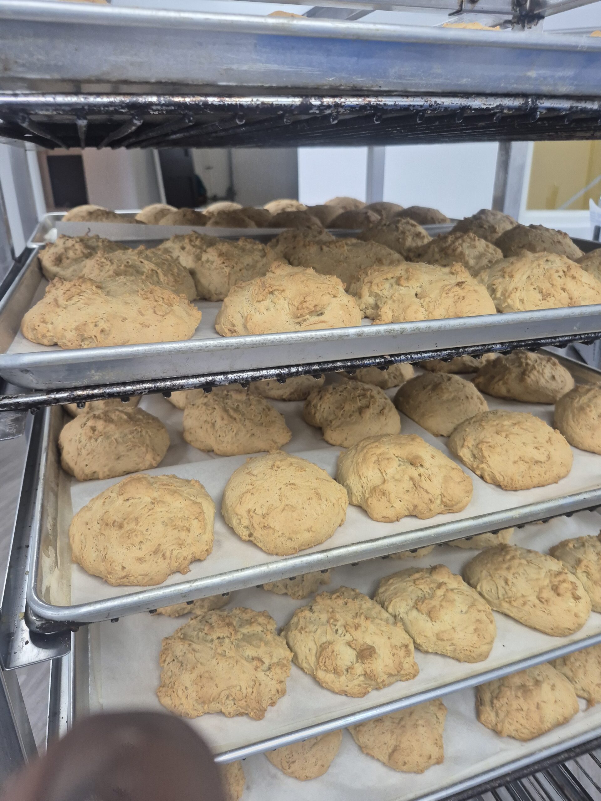 Coconut Bun - Image 2